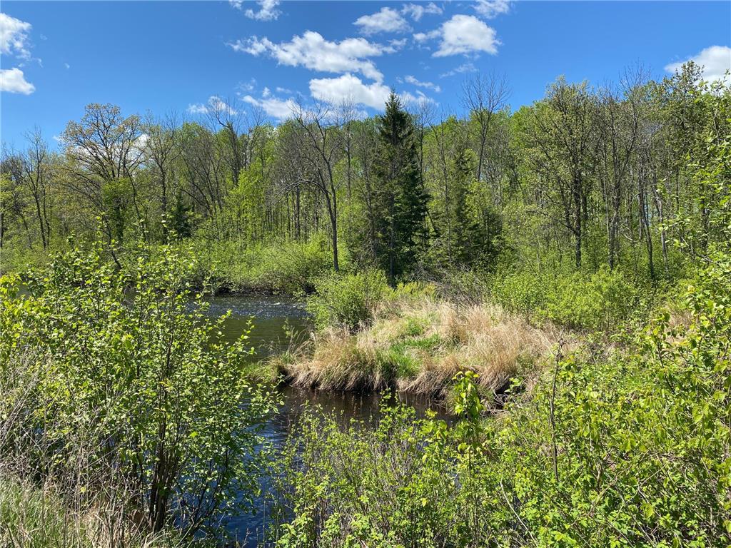 XXXX Minkkinen Rd Kalevala Twp MN 55757 - Kettle River - West Branch 6723882 image26