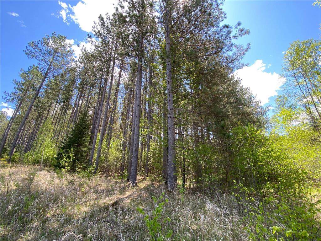 XXXX Minkkinen Rd Kalevala Twp MN 55757 - Kettle River - West Branch 6723882 image30