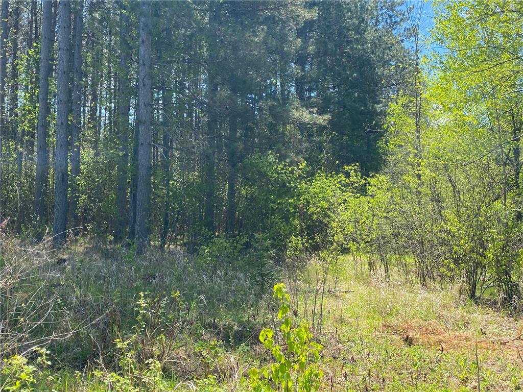 XXXX Minkkinen Rd Kalevala Twp MN 55757 - Kettle River - West Branch 6723882 image31