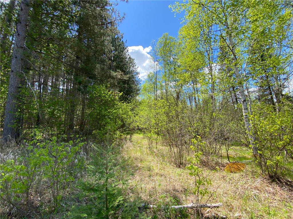 XXXX Minkkinen Rd Kalevala Twp MN 55757 - Kettle River - West Branch 6723882 image34