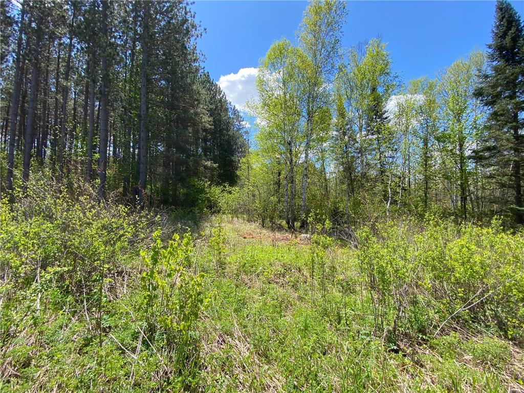 XXXX Minkkinen Rd Kalevala Twp MN 55757 - Kettle River - West Branch 6723882 image37