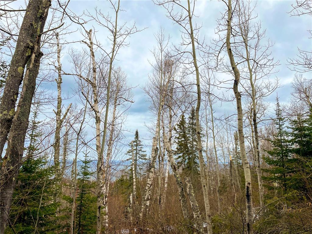 XXXX Mount Rockwood Road Silver Bay MN 55614 6351743 image1