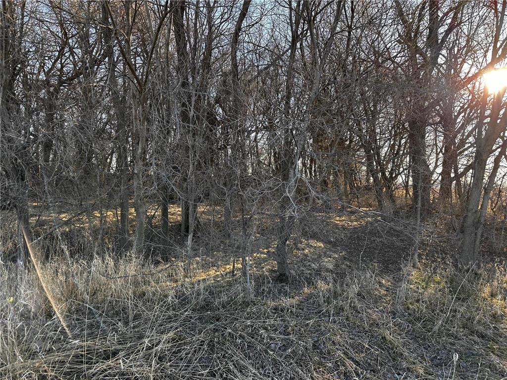 XXXX NE 34th Avenue Medford MN 55049 6504889 image1