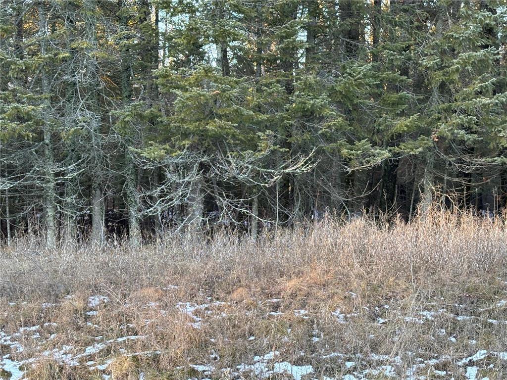 XXXX NW County 47 Longville MN 56655 - Wabedo 6645236 image1