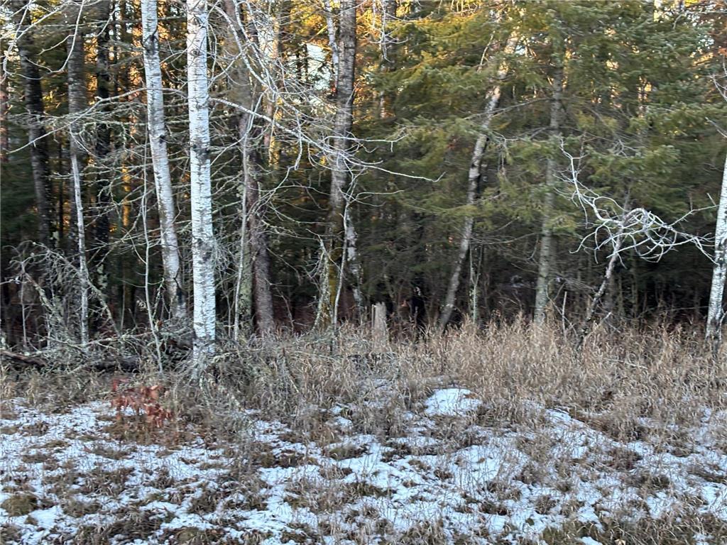 XXXX NW County 47 Longville MN 56655 - Wabedo 6645236 image2