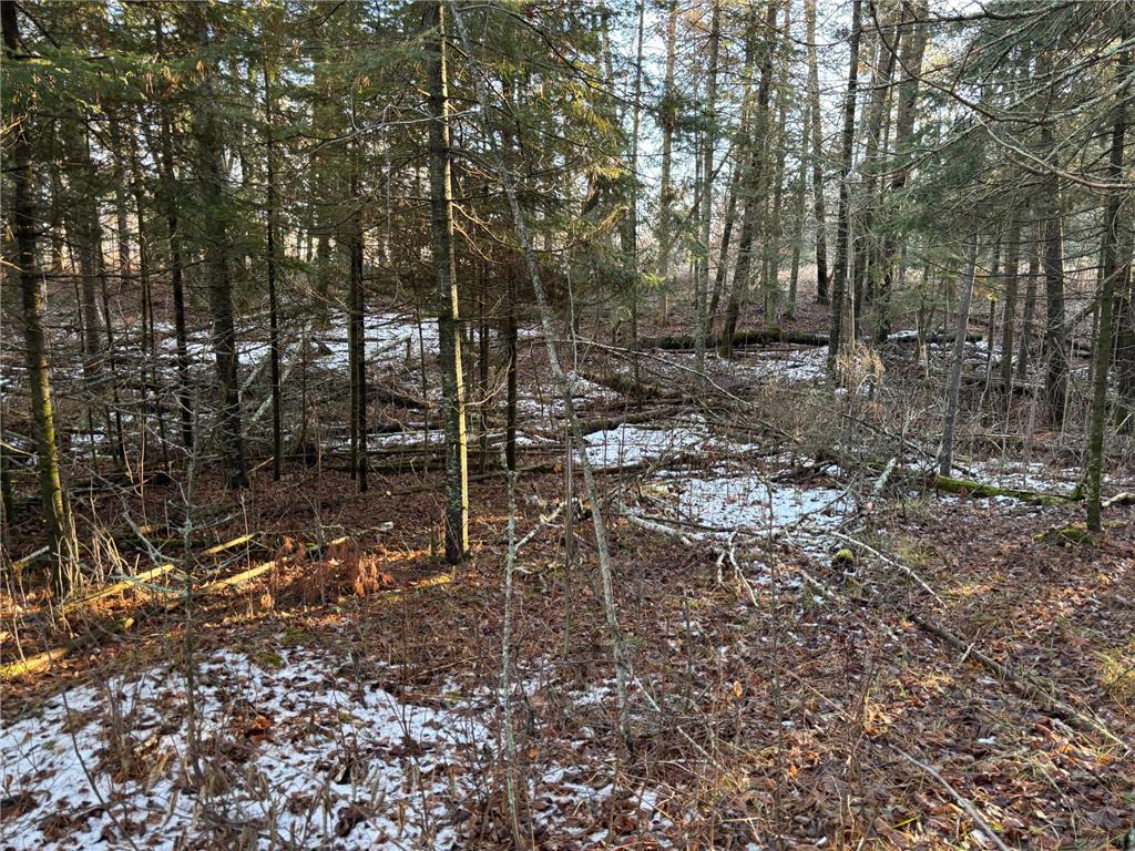 XXXX NW County 47 Longville MN 56655 - Wabedo 6645236 image3