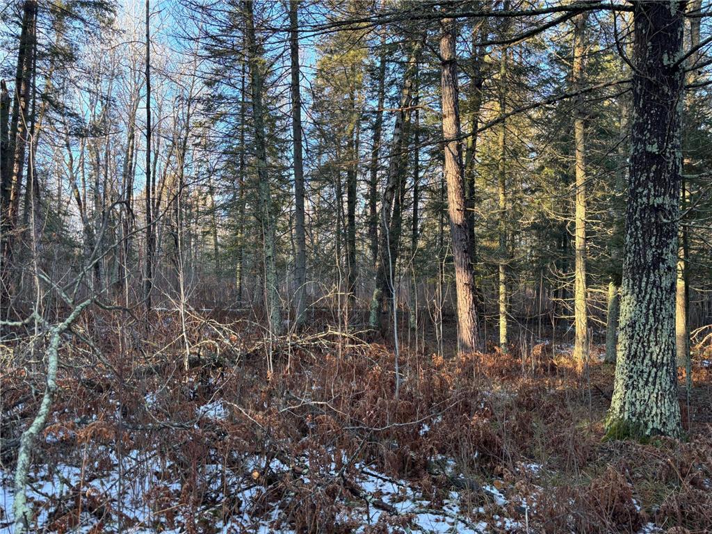 XXXX NW County 47 Longville MN 56655 - Wabedo 6645236 image4