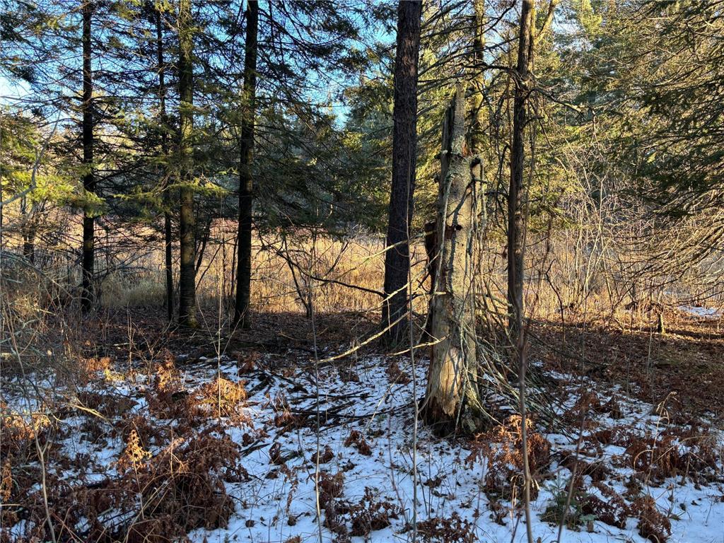 XXXX NW County 47 Longville MN 56655 - Wabedo 6645236 image5