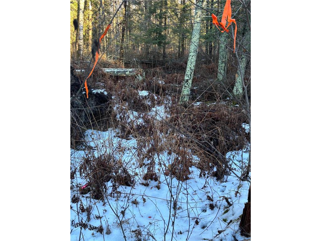 XXXX NW County 47 Longville MN 56655 - Wabedo 6645236 image6