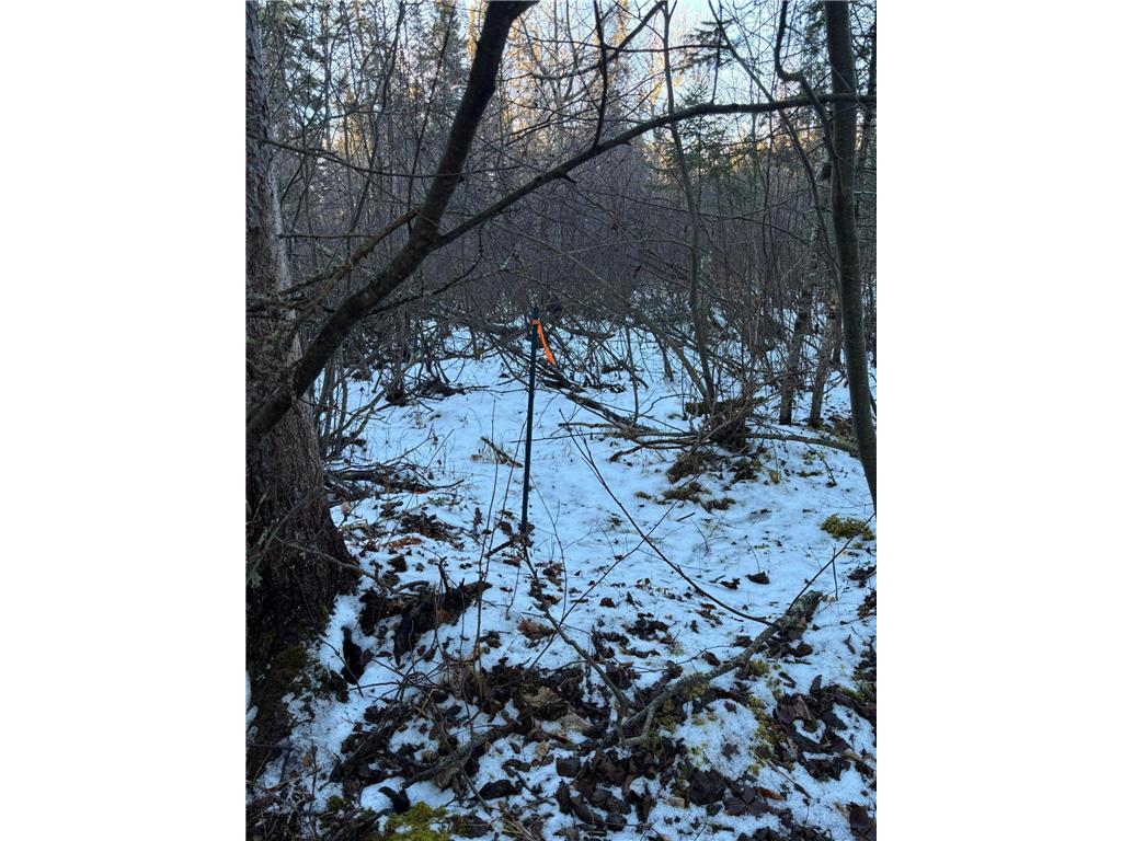 XXXX NW County 47 Longville MN 56655 - Wabedo 6645236 image7