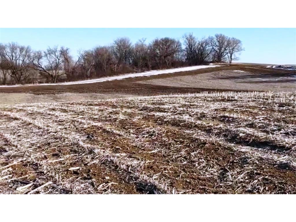 XXXX NW County Road 8 Silver Creek Twp MN 55358 6651211 image1