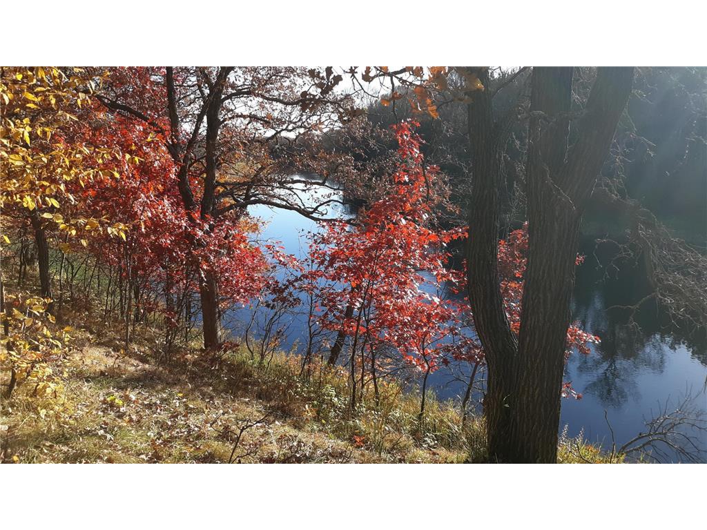 XXX Odin Court Ward Twp MN 56438 - Long Prairie River 6446914 image1