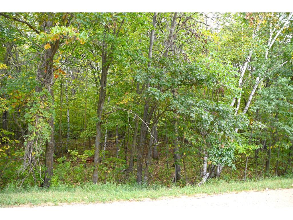 XXXX Penny Drive Fawn Lake Twp MN 56438 6446939 image1