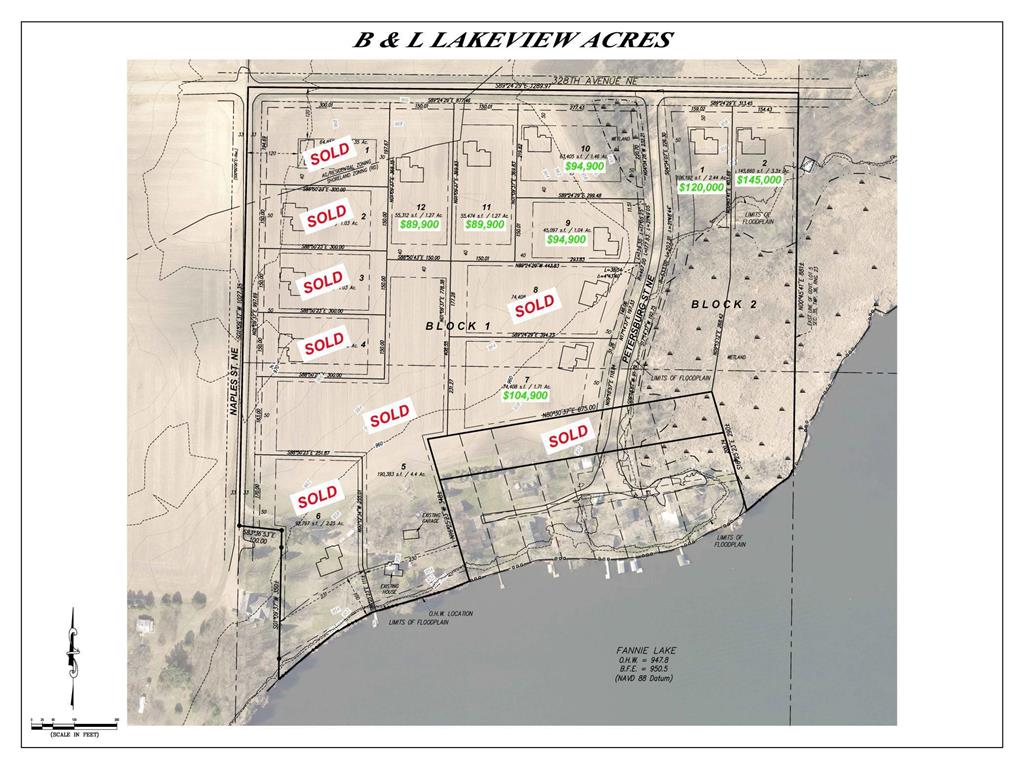 XXXX Petersburg Street NE Cambridge Twp MN 55008 6497262 image1