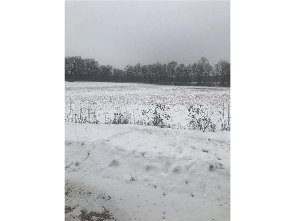 XXXX Pine Bend Trail Nininger Twp MN 55057 6317546 image1