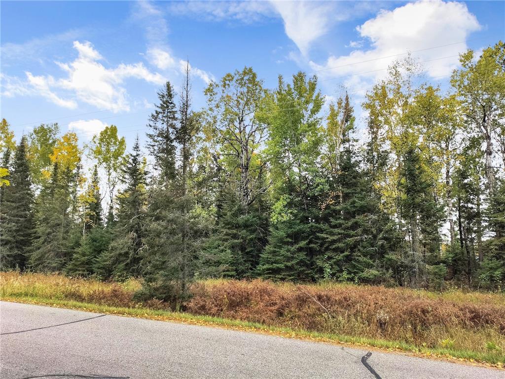 XXXX Raps Road Cook MN 55723 - Vermilion 6446533 image1