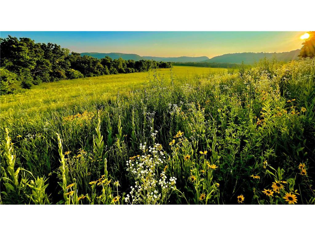 XXXX River Drive Money Creek Twp MN 55943 6408778 image1