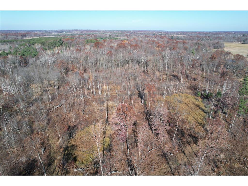 XXXX Round Lake Road Bone Lake Twp WI 54853 6303268 image1