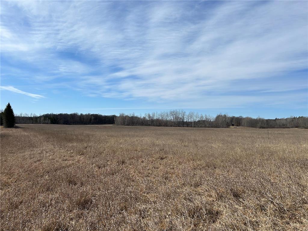 XXXX S Killian Road Fort Ripley Twp MN 56401 6505574 image1