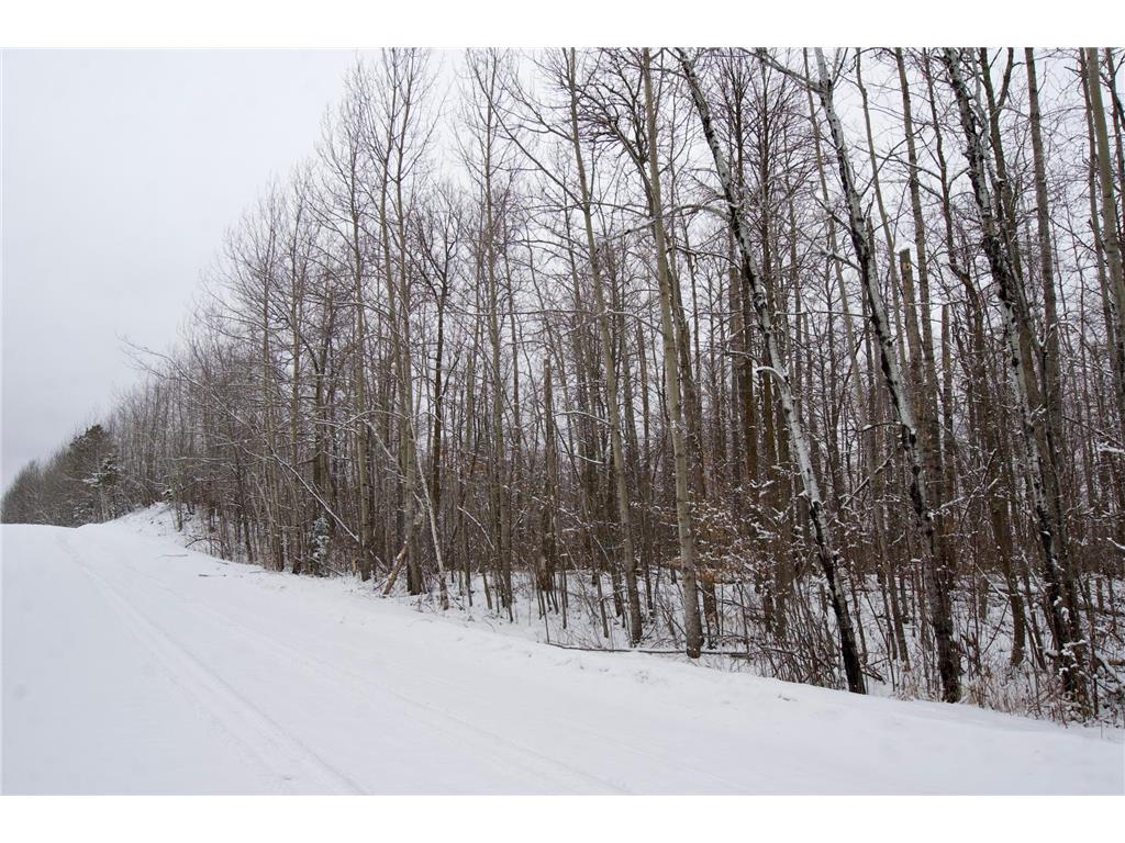 XXXX Sheridan Woods Lane NE Crooked Lake Twp MN 56662 7036292 image1