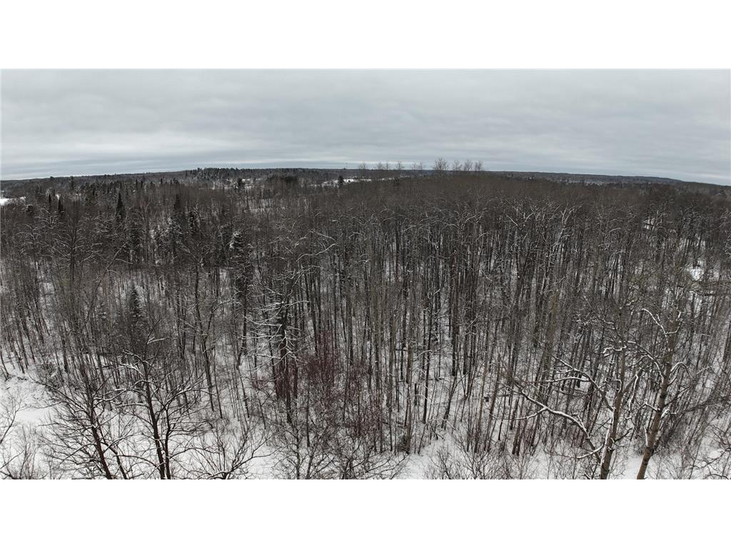 XXXX Sheridan Woods Lane NE Crooked Lake Twp MN 56662 7036292 image3