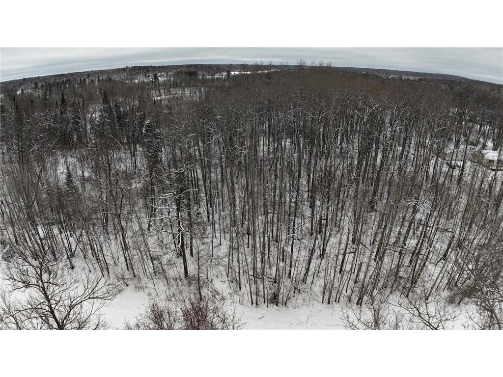 XXXX Sheridan Woods Lane NE Crooked Lake Twp MN 56662 7036292 image4