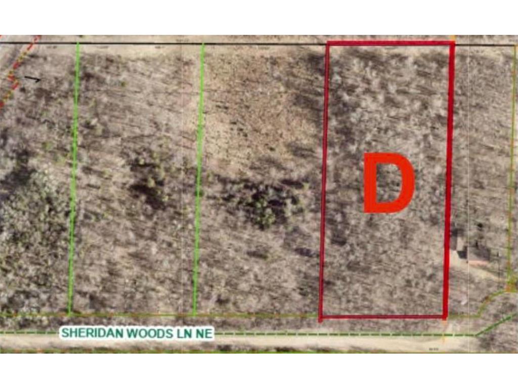 XXXX Sheridan Woods Lane NE Crooked Lake Twp MN 56662 7036292 image5