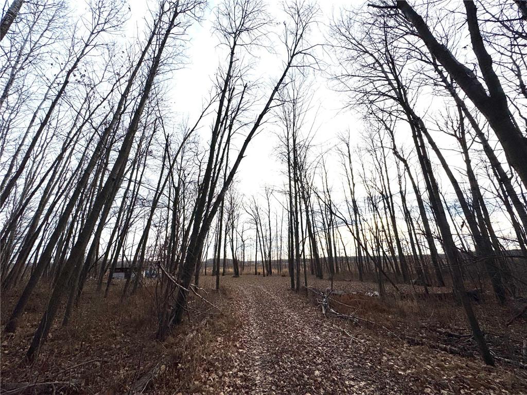 XXXX Sherwood Street Brook Park MN 55007 6769913 image2