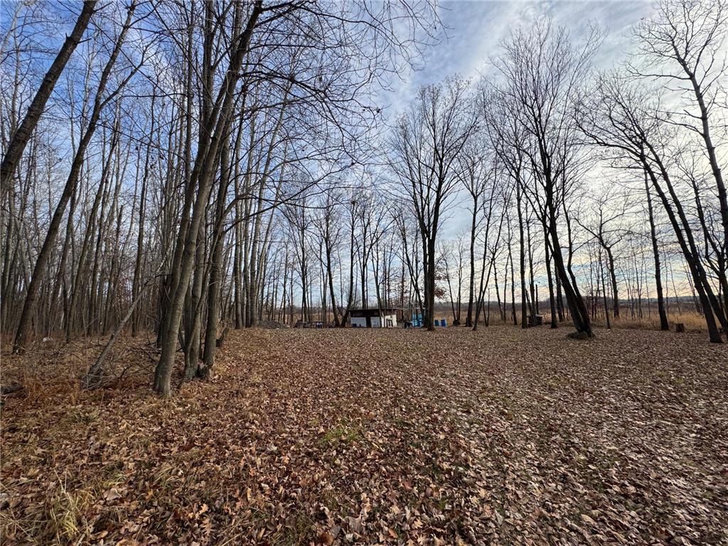 XXXX Sherwood Street Brook Park MN 55007 6769913 image3