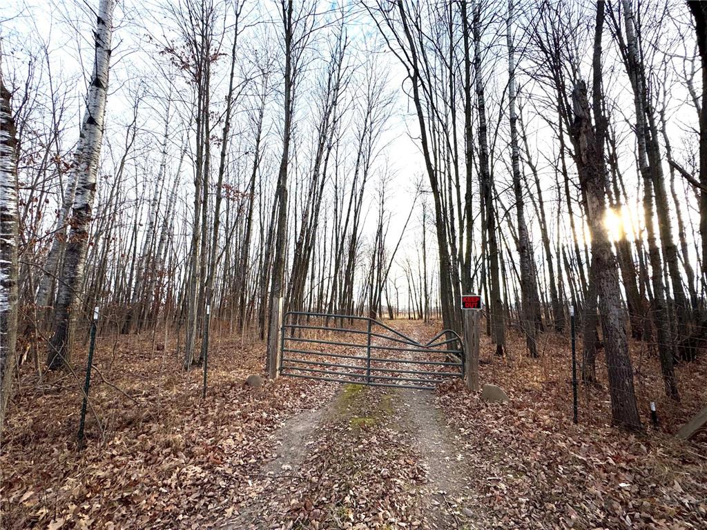 XXXX Sherwood Street Brook Park MN 55007 6769913 image4