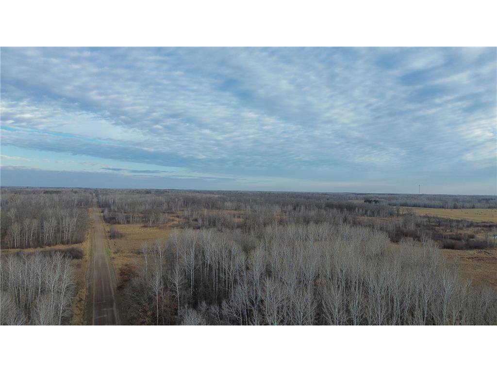 XXXX Sherwood Street Brook Park MN 55007 6769913 image9