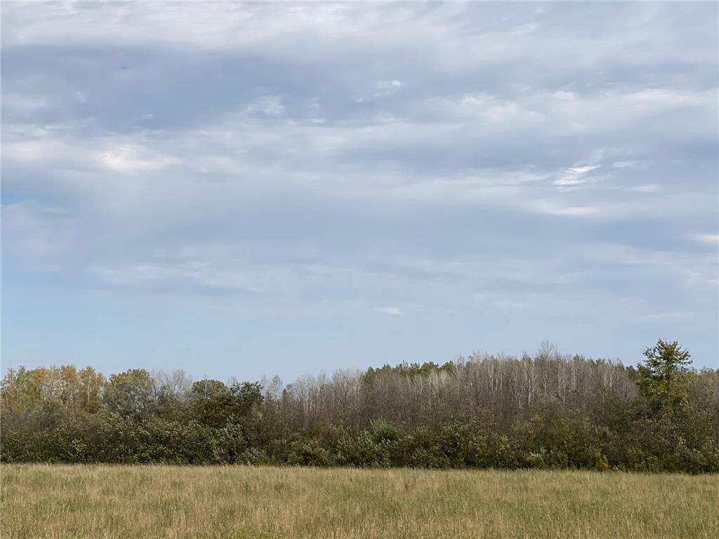 XXXX Silver Creek Road Kettle River MN 55757 - Silver Creek 6612012 image12