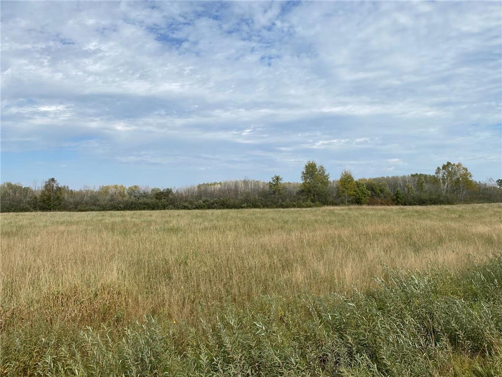 XXXX Silver Creek Road Kettle River MN 55757 - Silver Creek 6612012 image15