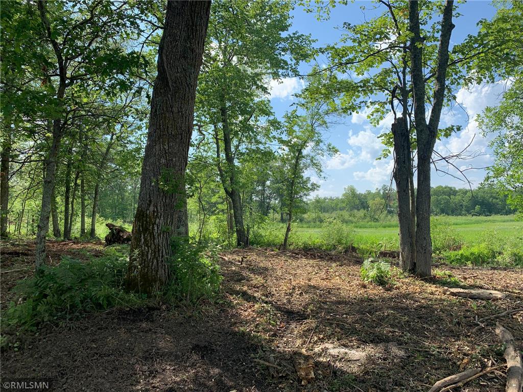 XXXX State Hwy 65 Mcgregor MN 55760 - Big Sandy 6395788 image1