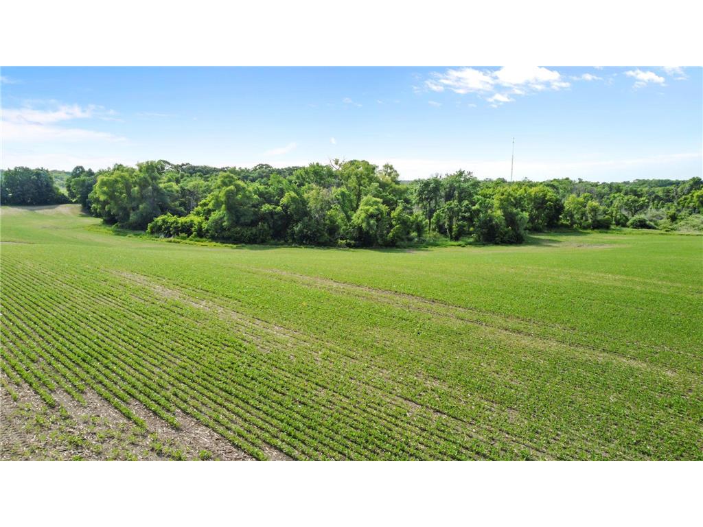 XXXX Town Line Road Medina MN 55357 6553177 image13