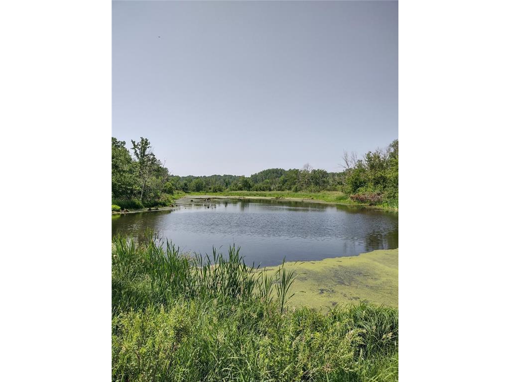 XXXX US Hwy 8 Almena WI 54805 6454097 image1