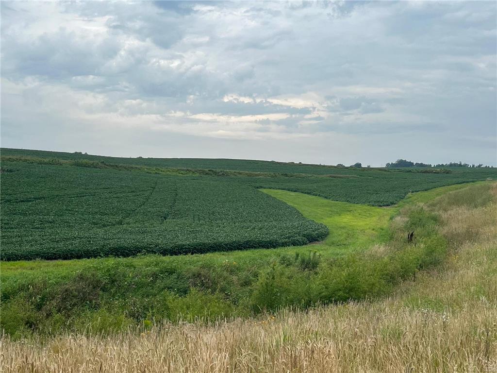 XXXX Valleyhigh Road NW Rochester MN 55901 6773480 image4