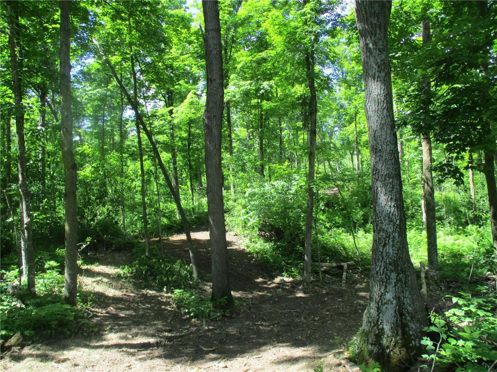 XXXX W Bass Lake Lane Luck WI 54853 - Mullins Lake 6561760 image1