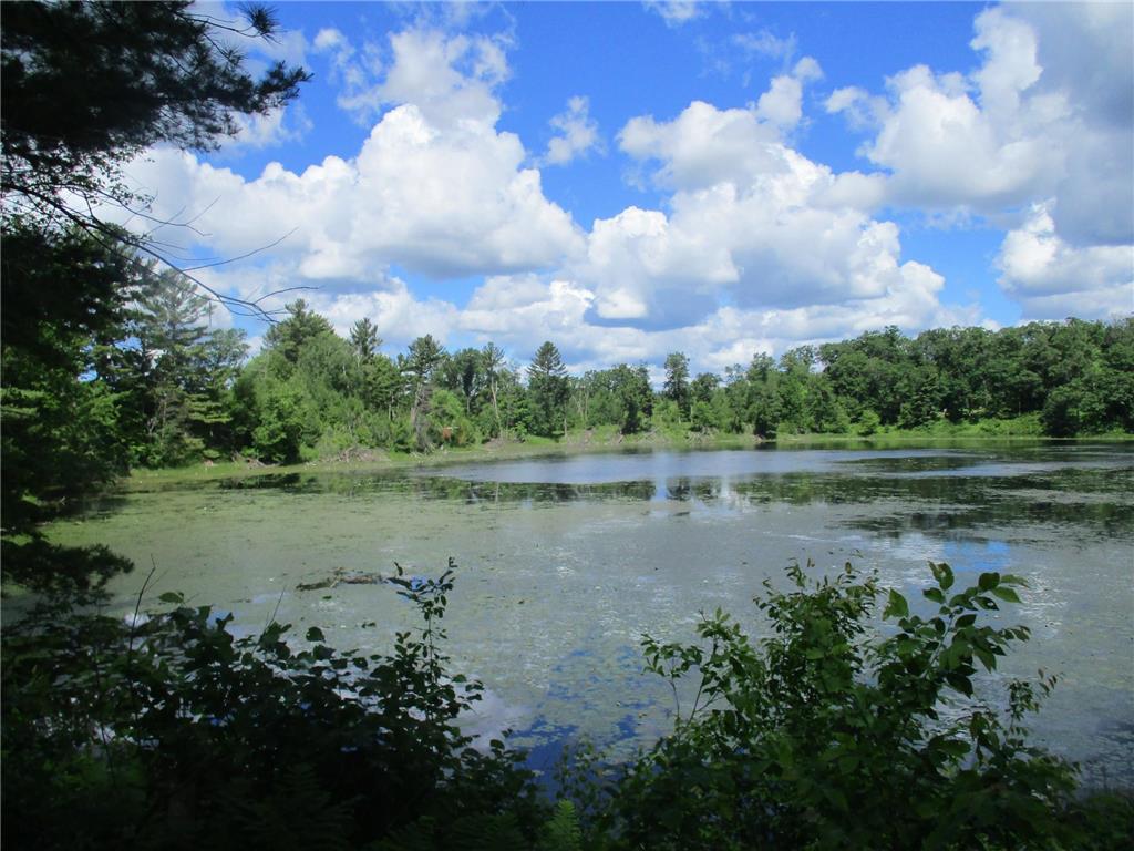 XXXX W Bass Lake Lane, Luck, WI, 54853 MLS 6561760 Edina Realty