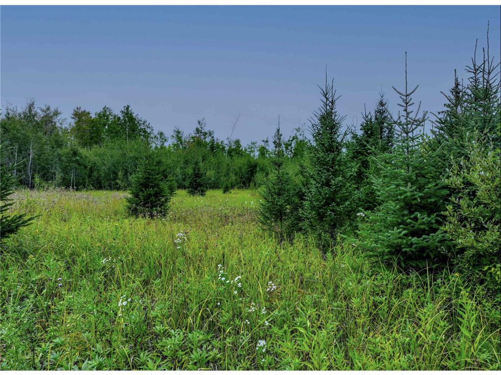 XXXX W Riek Rd Cook MN 55723 6822990 image12