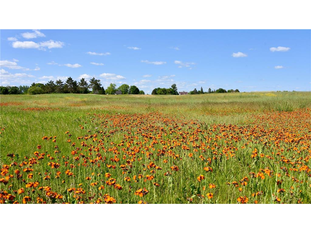 XXXX W Springbrook Trail Mora MN 55051 6534114 image1