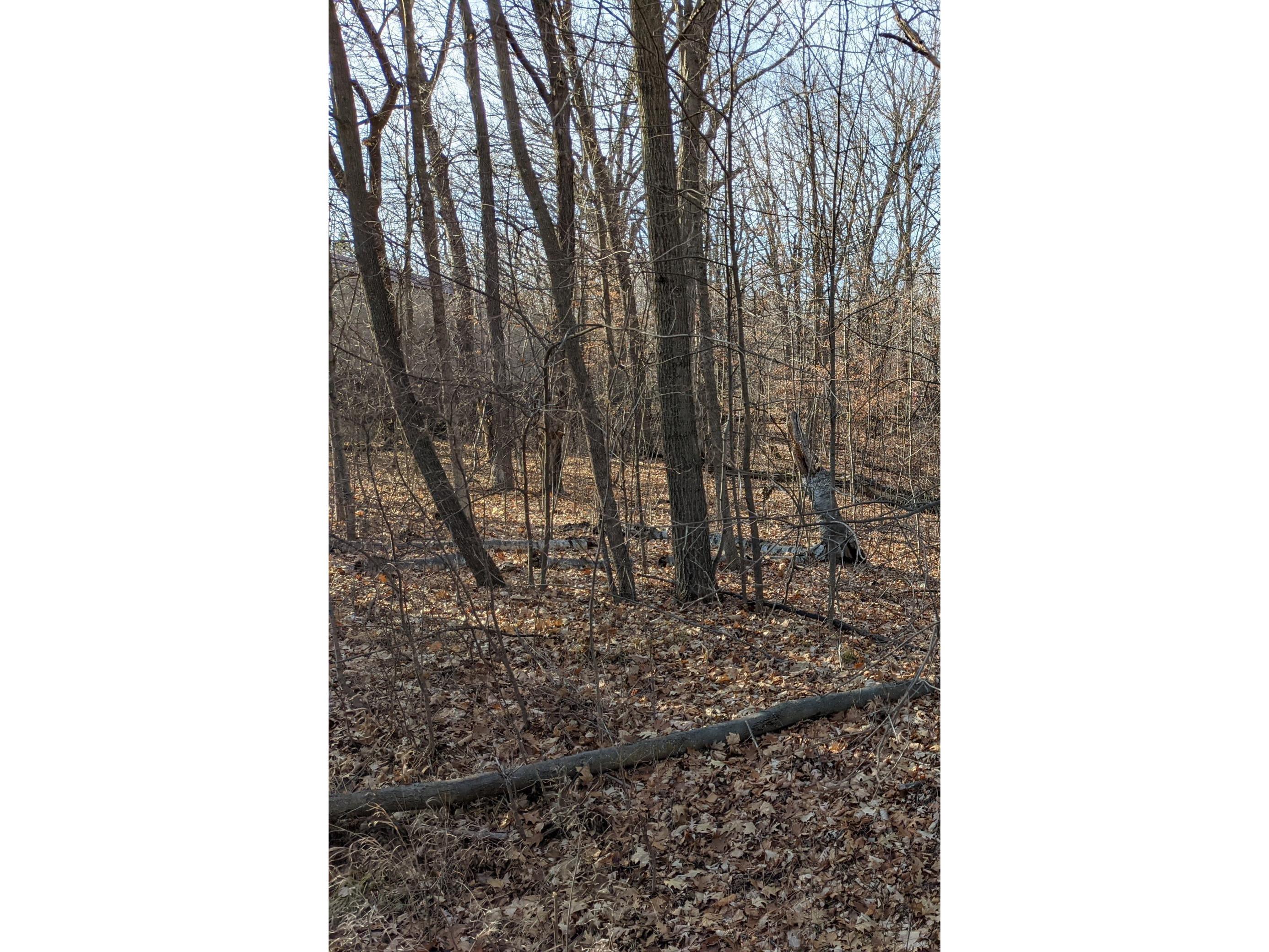 XXXX Wikstad Road Duluth MN 55804 6130861 image1