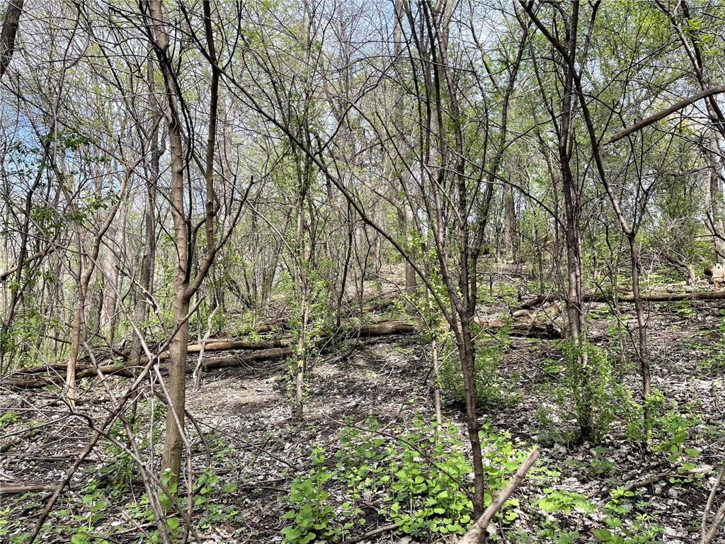 XXXX Woodhill Road Burnsville MN 55337 6726685 image10