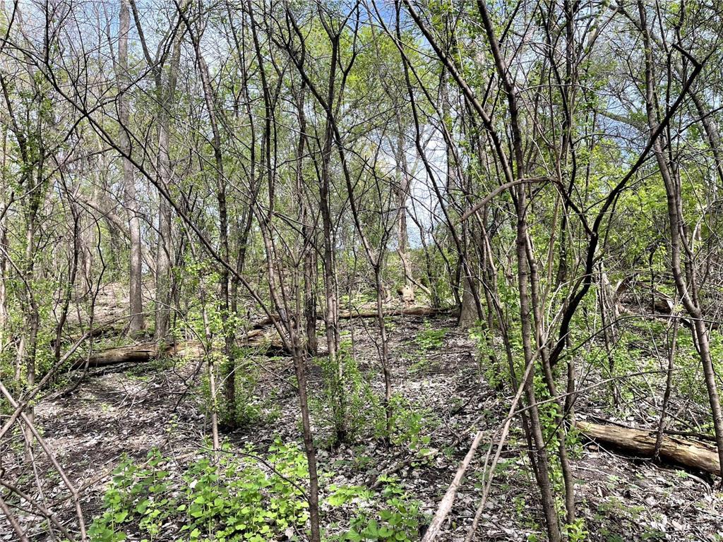 XXXX Woodhill Road Burnsville MN 55337 6726685 image11