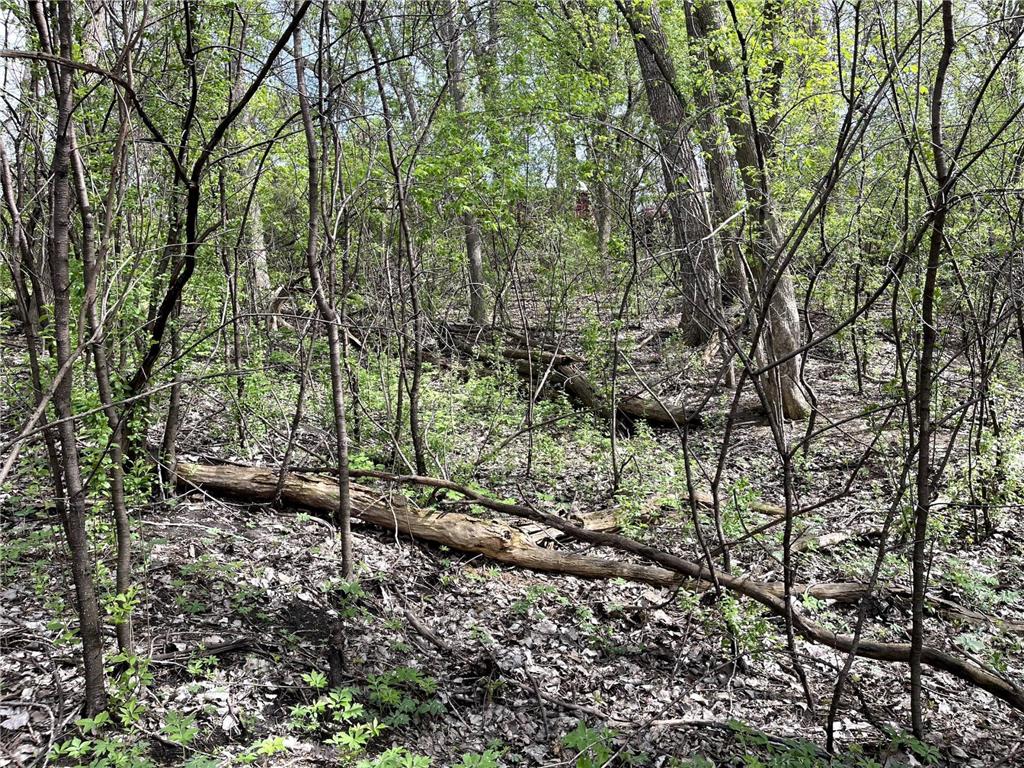 XXXX Woodhill Road Burnsville MN 55337 6726685 image12