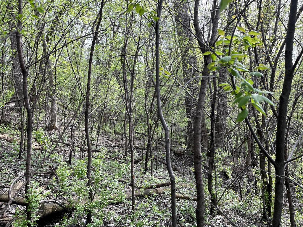 XXXX Woodhill Road Burnsville MN 55337 6726685 image15