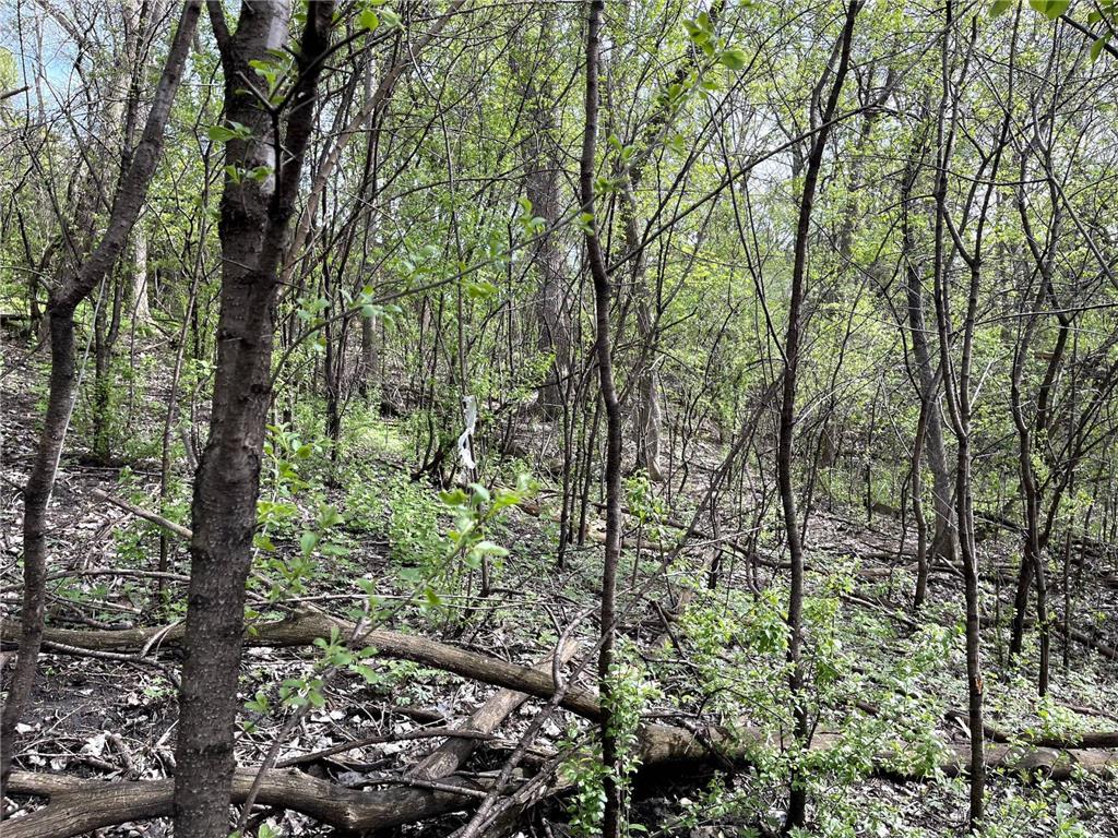 XXXX Woodhill Road Burnsville MN 55337 6726685 image16