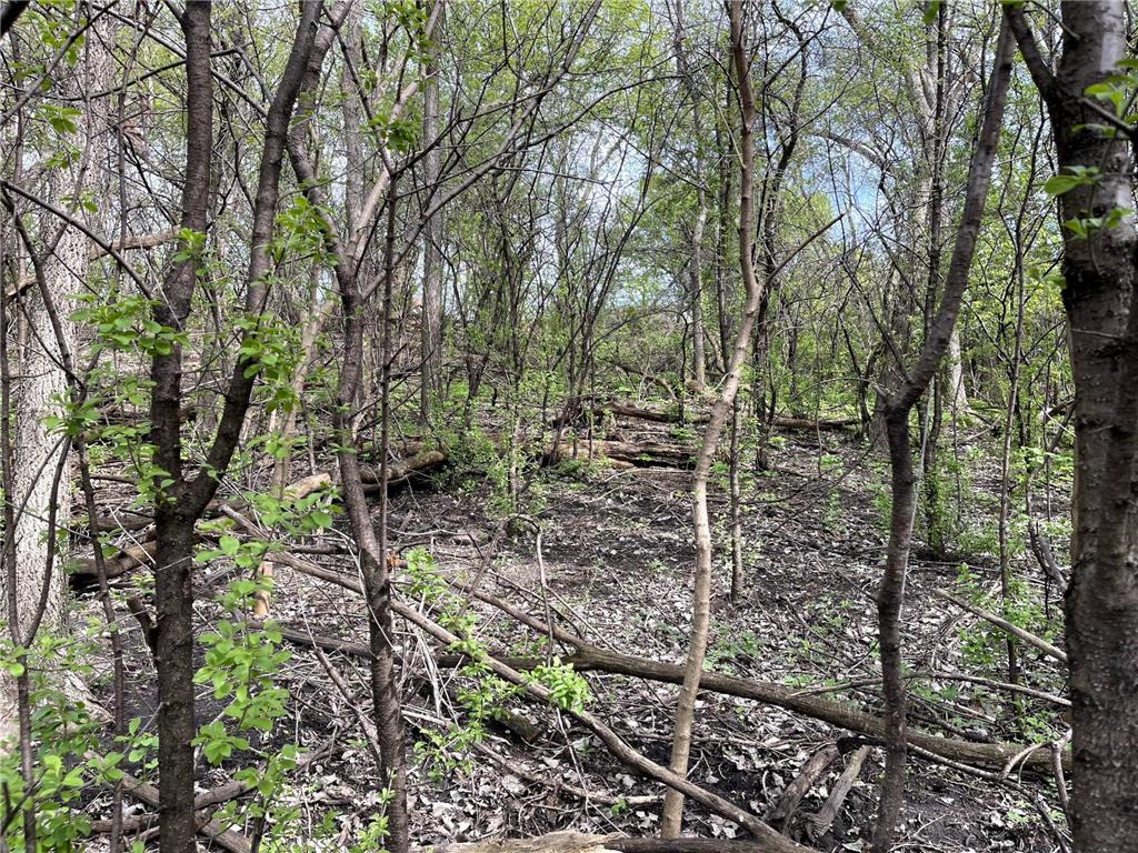 XXXX Woodhill Road Burnsville MN 55337 6726685 image17