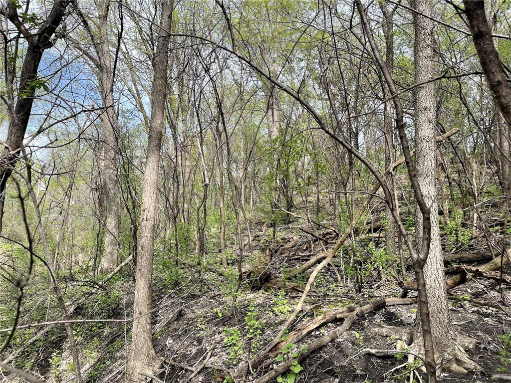 XXXX Woodhill Road Burnsville MN 55337 6726685 image18