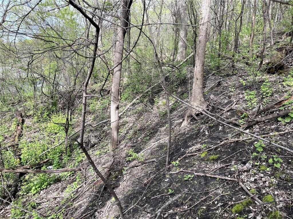 XXXX Woodhill Road Burnsville MN 55337 6726685 image19